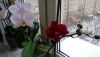 20180121_143259.thumb.jpg.16fbb50881c43cb9f4da2384dd0cfe46.jpg