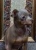 20180121_204120.thumb.jpg.38ccf596d7fa5339b32da1facbfaad6a.jpg?1516557213404
