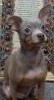 20180121_204125.thumb.jpg.b6a95ec12855958da9b2c23b42bacb5e.jpg?1516557227916