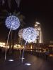 20180123_185723.thumb.jpg.054487648ca6f611ce1765048b12674a.jpg