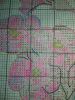 20180124_140133.thumb.jpg.ef857e3bc071b42409950b1e0bda787d.jpg