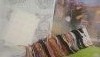 20180126_005131.thumb.jpg.a8ccff9c2fd8200ae70546e7b2a0ad04.jpg?1516918778566