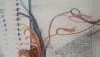 20180126_010017.thumb.jpg.a23efc938300ae7f4b6336a1b4621f0e.jpg?1516918914043