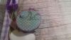 20180126_181404.thumb.jpg.b5f69139346fb8bc4efb6b12e2056ec7.jpg