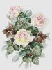 20908.thumb.jpg.baecd811f14ab09ae621456b8c616d5e.jpg
