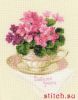 21057.thumb.jpg.c32fea0ad5d7db13fafbb8da179fa3b2.jpg
