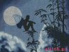 Золотое Руно МЛ-014, Эльф