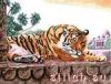 3147.thumb.jpg.c1d76d3f20aafb91dabc4edddf59f4f6.jpg