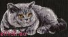3306.thumb.jpg.8bac52565d334543633a9dd19dc4bb33.jpg