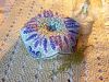 44535_8.thumb.jpg.880dbcd393bd4cd686b01705cd28de9d.jpg