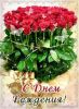 599313137d88eb7d710244e848aa88db--birthday-cards-happy-birthday.thumb.jpg.b7679623287bb446f2f1bf1602a92b2e.jpg