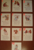 5a54f2551ce1e_5.thumb.png.d9f881f1f4886a6b4978656e4f204257.png