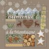 5a54f5cb20bfa_Bienvenuealamontagne.thumb.jpg.189118816548ba9ed30813491e688e7e.jpg