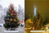 5a5dfeed5ac63_.thumb.jpg.a2610f35930ef5baf1a7d294f13d2e8f.jpg