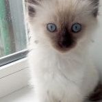 Tanya_stitch