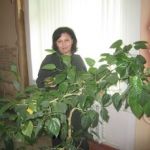 Аватар tamara34