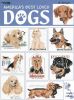 America`s best loved DOGS.jpg