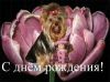 60852872-4472-459B-AB12-E895582C84B8.thumb.jpeg.324fb5ad1d94f4c441c2058479462b8c.jpeg