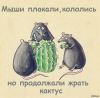 6b268a26-1ac2-412e-a97a-9ef434fe66de_1.thumb.jpg.8ed6c1c9690880ae738d4250616b932d.jpg