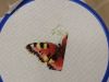 7264328A-25B6-4D15-9613-4CDB0C03C957.thumb.jpeg.bb140044268decce121ffebe48e3f634.jpeg