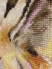 834AEBA9-67EB-45EB-AB43-BC8059CADAA6.thumb.jpeg.343470d2cb7f61f6e0fb55420ac7c201.jpeg
