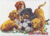 9525.thumb.jpg.c6c4c7ca2a08d219da4db8c958a2bbad.jpg