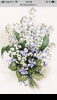 96C7A70C-44ED-4A55-965E-FDC7C96F02B3.thumb.png.9fbd54644d11fad6de5dd681835f58fb.png