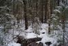 DSC01667.thumb.JPG.8d57ad18a33aabb1bbcf998eaeff6e3a.JPG