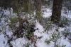 DSC01671.thumb.JPG.c099f2a7876f8c81292e4cfb9eb4a393.JPG