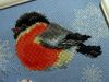 DSC02248_.thumb.jpg.d761fc5e26f3ae59439c1b5e3ab24556.jpg