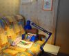DSC02288.thumb.JPG.b88ad2ffce6c32252c30697c13a61ce7.JPG