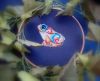 DSC07099.thumb.JPG.4b7c22bcf33db417636dd89e64d09c39.JPG