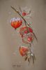 DSC07535.thumb.JPG.eed674958b0e7b070312cbeaa91b1ea9.JPG