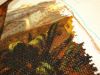 DSC09942.thumb.JPG.50f5cd85da11b89a86605310572662c0.JPG