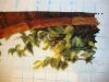 DSC09973.thumb.JPG.c53279bbd6e8dabbacfdd14482956b9e.JPG