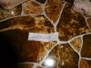 DSCN2183.thumb.JPG.d0e703d627eceb343bf5caf529ef5056.JPG