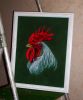 DSCN8927.thumb.JPG.d32933c972339f62a30358b7f5ed46f5.JPG