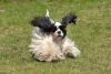 DSC_0025.thumb.jpg.fa0c76fb0b39db53004e079470abc802.jpg