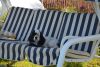 DSC_0026.thumb.jpg.66534fb004576debef7cbdbfcfde0fe6.jpg