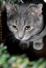 DSC_0037.thumb.jpg.eb0df093f9c86dd87265daf63d8d79c6.jpg