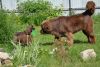 DSC_0115.thumb.JPG.2f58ed25a0bd96c78709dfa6366a3147.JPG