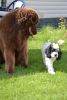 DSC_0115.thumb.jpg.e4a699776d3e8710af063bdddd9f4b97.jpg