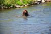 DSC_0161.thumb.JPG.00577dab8ea03350a4f105b78cf9f4f9.JPG