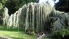 DSC_0275.thumb.JPG.77906b93ad7284c8a405960e8f5daef3.JPG