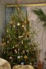 DSC_0296.thumb.JPG.412dc8d684ca1624398958c6010382f0.JPG