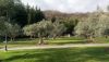 DSC_0301.thumb.JPG.a20e3bd25e4ac7f7ac9ed28d93785d82.JPG