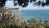 DSC_0304.thumb.JPG.73efb02981362ecd2145ff96e7eda480.JPG