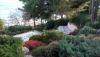 DSC_0316.thumb.JPG.7b7fe668f1ac1ea5bfa6964c2077416e.JPG