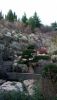 DSC_0328.thumb.JPG.6719f399368321c75eef7ad12035bde4.JPG