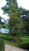 DSC_0329.thumb.JPG.bbad4e260ad6bd0a81efb670fb500e12.JPG